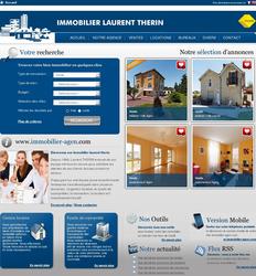 Immobilier laurent therin